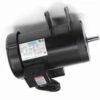 120728.00 Leeson | 3 Hp 3450 RPM Delta Unisaw Electric Motor 230 Volts -3c Shop 120728 side 43330.1527257306