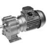 Bison 017-246-0058 Gear Motor 1/4 Hp 29 RPM 230/460V -3c Shop 246 3phase lg 83558.1435082421