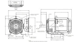V308M2 Century 5 1/2 Hp 1200 RPM 230V ODP 215T Frame Cap Start/Run Motor -3c Shop 308 line 41206.1624392729