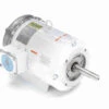 132443.00 Leeson 5 Hp 3600 RPM 208-230/460V 184JM Frame (Rigid Base) TEFC 3-Phase Wash-Down Pump Motor -3c Shop 43 front 18640.1643745100