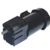 Bison 017-650-0070 Inverter Duty Gear Motor 1/4 Hp 25 RPM 230V -3c Shop 650 series lg 23305.1435082459